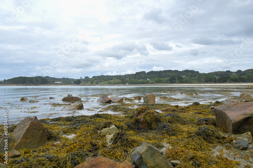 Cuadro en lienzo Algues à marée basse en Bretagne - France