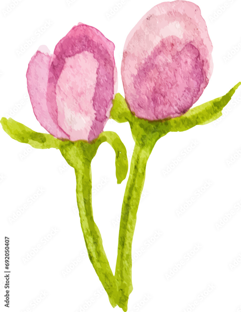 Fototapeta premium Vector Watercolor painted flower Hand drawn flower design element isolated on white background