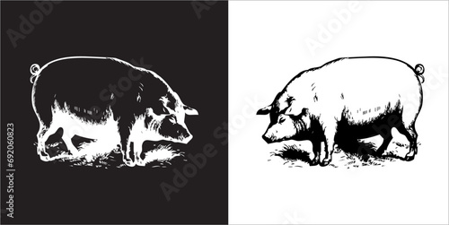 Illustration vector graphics of pig icon photo