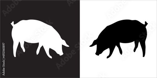 Illustration vector graphics of pig icon