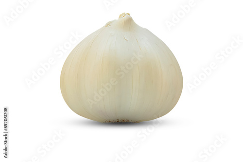 Whole head of garlic isolated on transparent background.