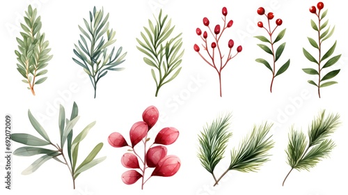 Watercolor Christmas floral element set. Winter greenery clipart for greeting card. Fir branches, red berries, eucalyptus leaves, pine coin photo