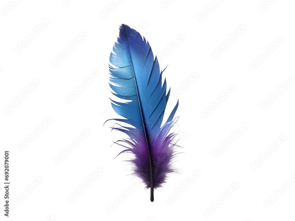 Blue purple feather isolated on white background Blue purple feather isolated on white background