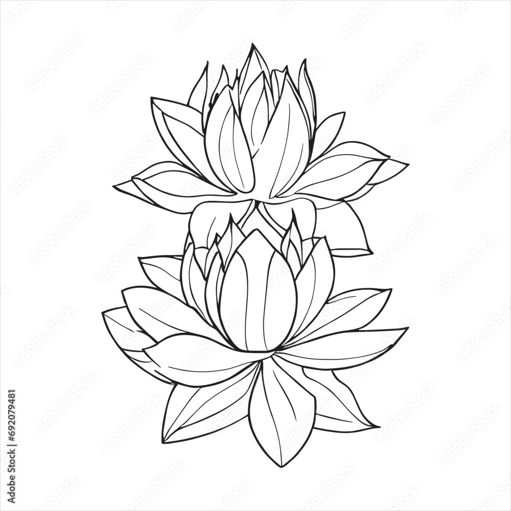 Lotus flower line art with drawings isolated on a white background. vector Lotus flower and leaves line art.