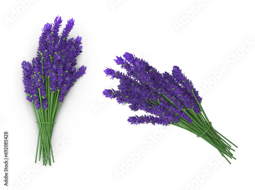 lavender on transparent background