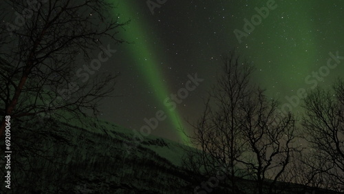 Northern Lights or Aurora Borealis in the Lofoten Islands  Norway. Polar lights in a starry sky over a snow-covered winter landscape.