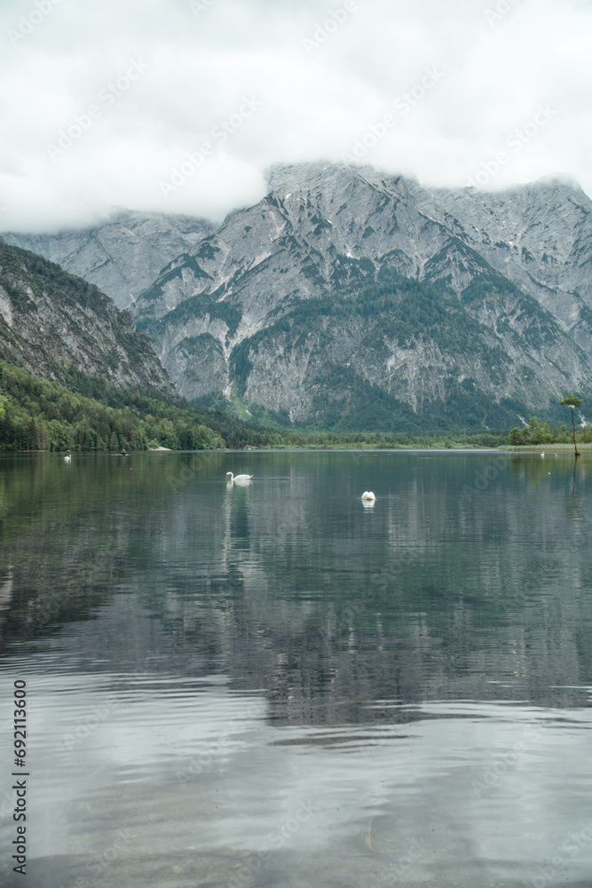 Cloudy day at the lake in Austria. 