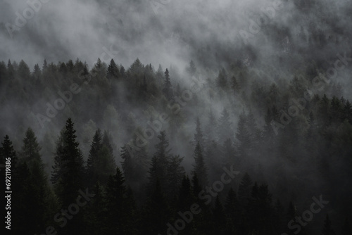 fog in the mountains