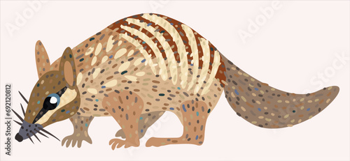 Nambat, australian marsupial anteater. Vector isolated illustration.