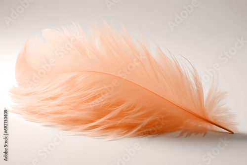 A gentle peach fuzz color feather lying on minimal light background. Modern trendy tone hue shade © Cherstva