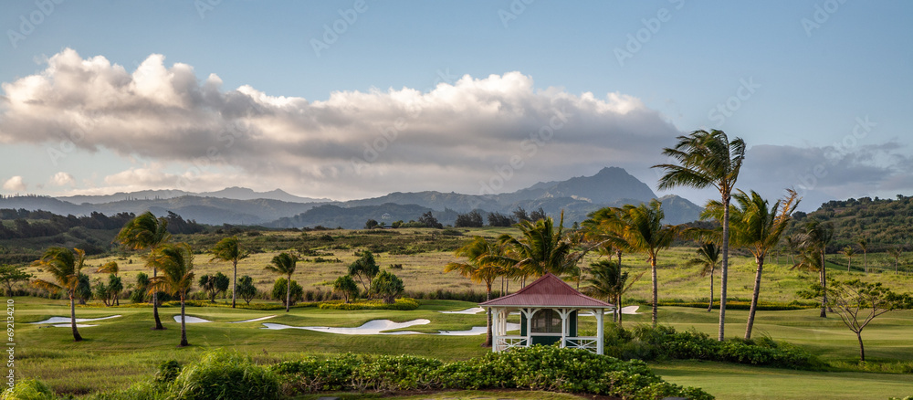 Mt Kawaikini and Kukuiula (Kukui #39 ula) golf course palm trees and a Mt Kawaikini and Kukuiula (Kukui #39 ula) golf course palm trees and a