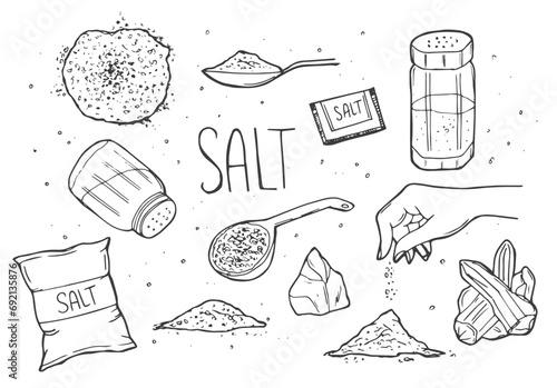 Salt sketch. Hand draw spice, vintage bowl spoon with sea salt powder. Food ingredients to cook, isolated pepper shaker vector illustration photo