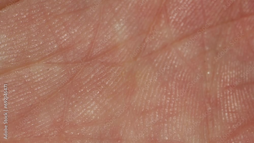 Close-up of man hand skin texture. Macro Detailed human skin, lines on hand palm. Life line, reading, foretelling the future through the study of the palm Close-up of man hand skin texture. Macro Detailed human skin, lines on hand palm. Life line, reading, foretelling the future through the study of the palm