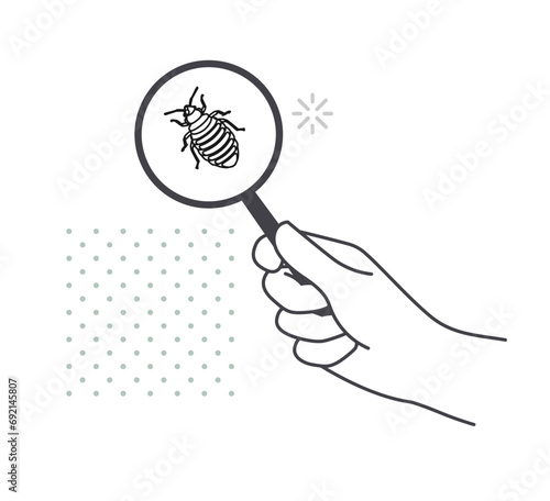 Remove Bed Bugs - Genus Cimex - Stock Illustration