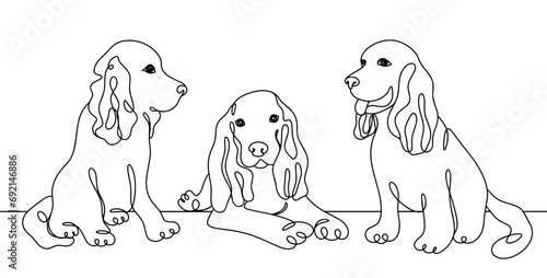 Cocker Spaniel. One line