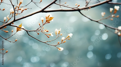 Spring Awakening: Delicate Buds Burst Forth, Signaling New Beginnings in a Dance of Renewal