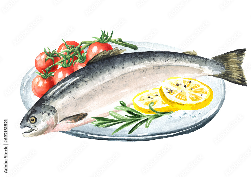 Fresh fish salmon. Hand drawn watercolor illustration, isolated on white background Fresh fish salmon. Hand drawn watercolor illustration, isolated on white background