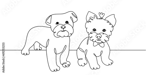 Yorkshire Terrier. One line