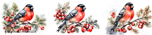A collection of watercolor Christmas bullfinches sitting on a snow-covered branch, cones, berries, brightness. A bird on a branch. New Year winter decorations and watercolor-painted design elements. © OneMoreTry