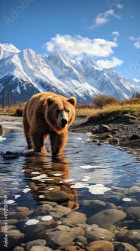A brown bear wanders along a mountain river against the backdrop of a breathtaking landscape with snow-capped mountain peaks. Concept: a dangerous animal searching for food in the wild near a pond