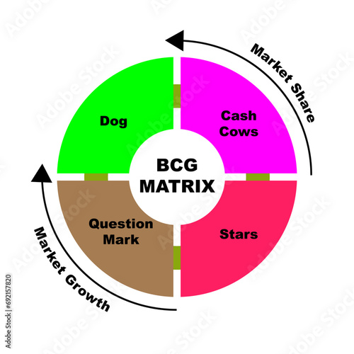 Diagram of The BCG Matrix concept with keywords. EPS 10 isolated on white background