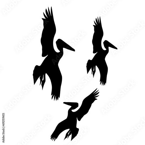 Tableau sur toile Three birds fling on the sky