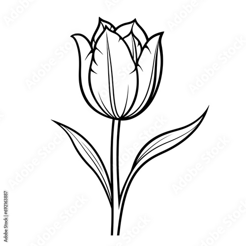 Minimalistic Carnation Line Art Vector SVG