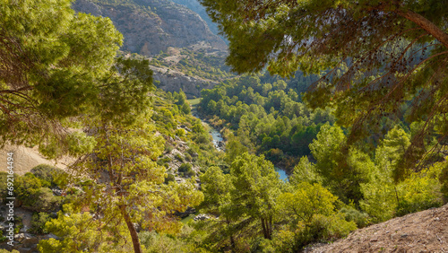 Bosque de pinos mediterráneos con el Rio Guadalhorce de fondo