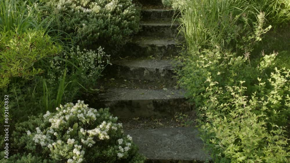Tilting up steps / stairs leading through a natural garden Tilting up steps / stairs leading through a natural garden