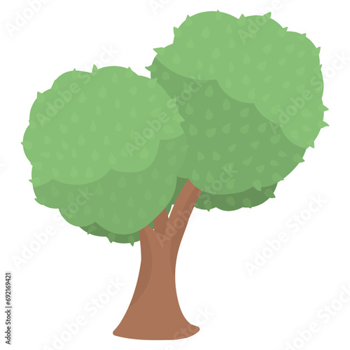 Large double tree. Decorative park tree of natural shape in flat cartoon style. Urban abstract green tree with leaves. Isolated on white background. photo