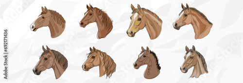 Illustrationen von majestätischen Pferden | Vektor Grafik Bündel für verschiedene Anlässe