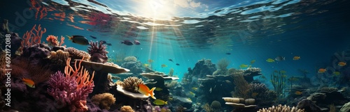 Underwater world of tropical coral reef, colorful tropical scenic ecosystem, Concept: illustrations in marine biology and conservation. Banner with copy space