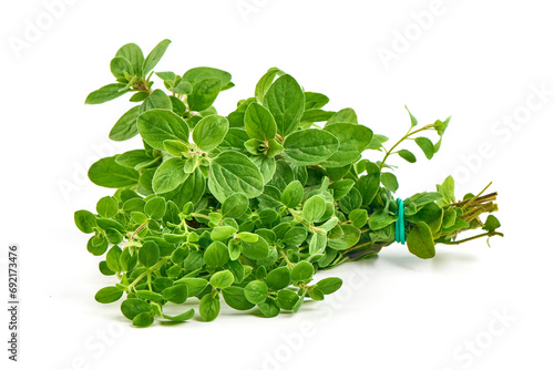 Fresh sweet marjoram herb, isolated on white background.