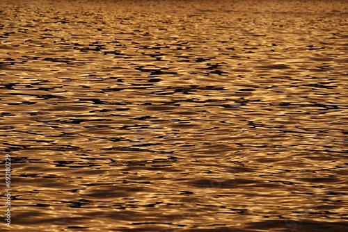 Golden Waves