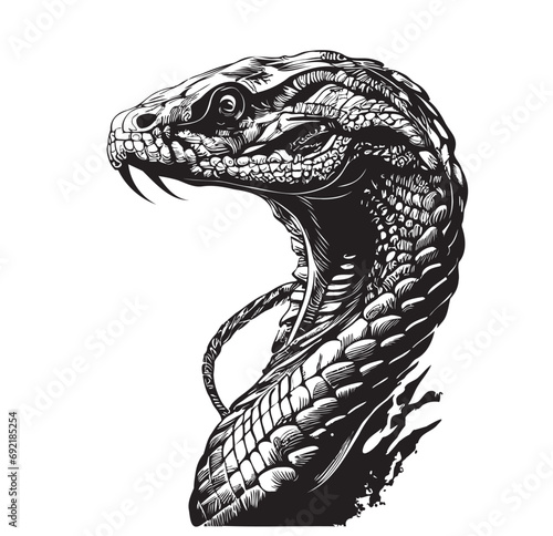 Snake portrait sketch hand drawn in doodle style illustration