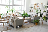 Interior of modern living room with grey sofas houseplants