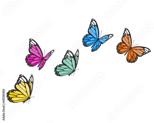 set of butterflies colordul watercolor brush paint photo