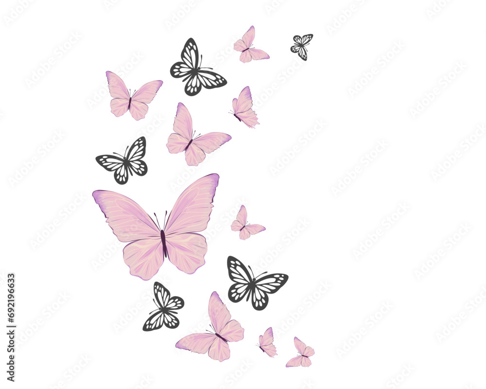 butterflies and flowers