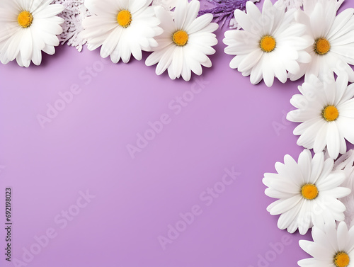 Frame with Daisy chamomile flowers on pastel purple background with copy space inside