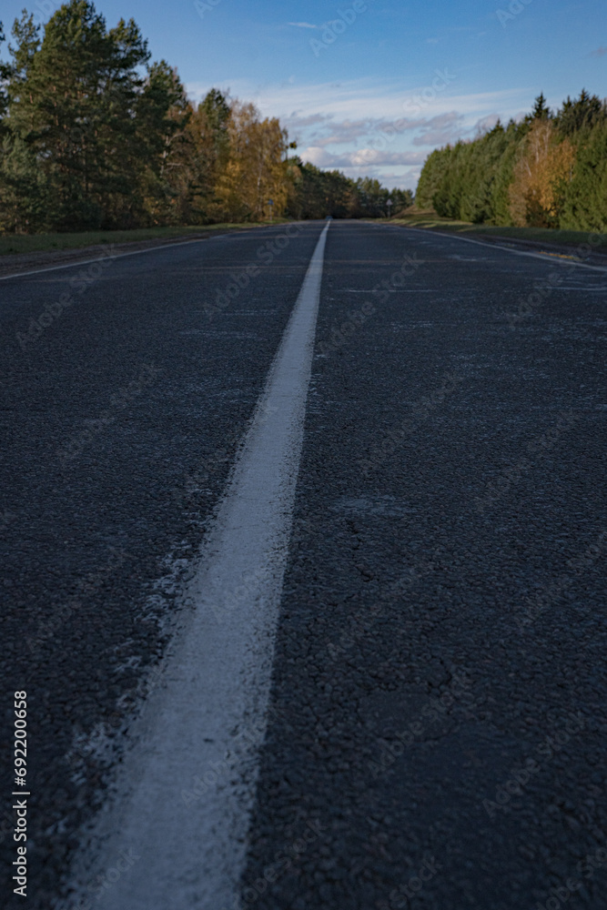 Road in summer forest at sunset, trees with green foliage and sunlight. Landscape with empty asphalt road through woodland, blue sky Road in summer forest at sunset, trees with green foliage and sunlight. Landscape with empty asphalt road through woodland, blue sky