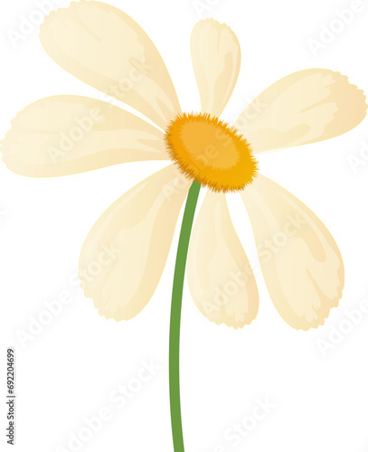 cartoon daisy flower isolated