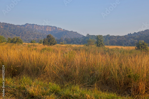 Typical dry season view of the Jim Corbett National Park. It is a national park in India located in the Nainital district of Uttarakhand, India. photo