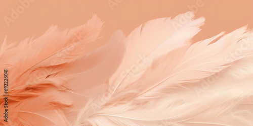 An peach fuzz color bird feathers gradient background without anything on. Color of the 2024 year. Copy space.