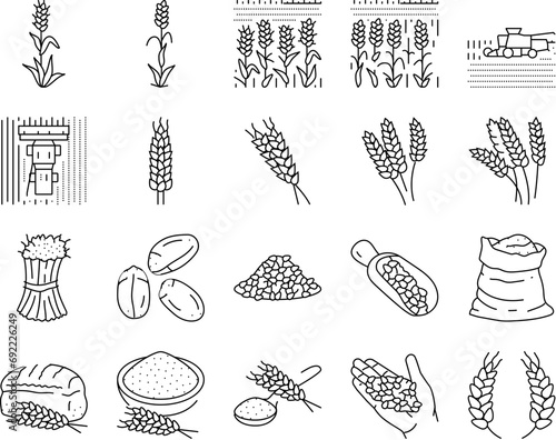 wheat grain bread harvest icons set vector. agriculture cereal, crop food, plant seed, farm ear, organic barley, natural bakery wheat grain bread harvest black contour illustrations