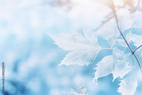 Frame of frozen leaves. Ice blue background. Cold winter theme.