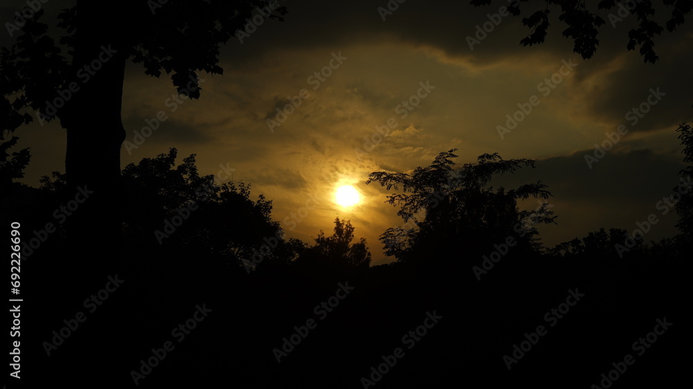 Fototapeta premium Sunset sky visible beyond the trees in the forest