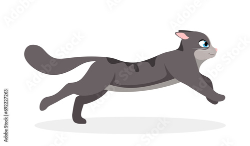 Cute running cat. Small fluffy gray kitten makes dash and quickly rushes forward. Design element for animal movement animation. Cartoon flat vector illustration isolated on white background