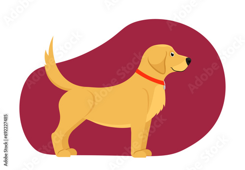 Portrait of cute dog. Side view of adorable standing Labrador. Beautiful fluffy puppy or pet. Happy avatar of purebred animal. Cartoon flat vector illustration isolated on white background
