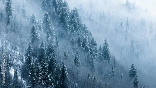Fog in the trees while snowing, drone video, Winter Mountains, Vail Colorado, 4K photo