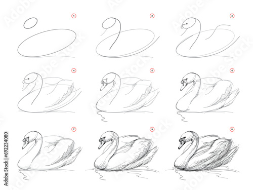 Page shows how to learn to draw from life sketch a swimming swan. Pencil drawing lessons. Educational page for artists. Textbook for developing artistic skills. Online education. Vector illustration. photo
